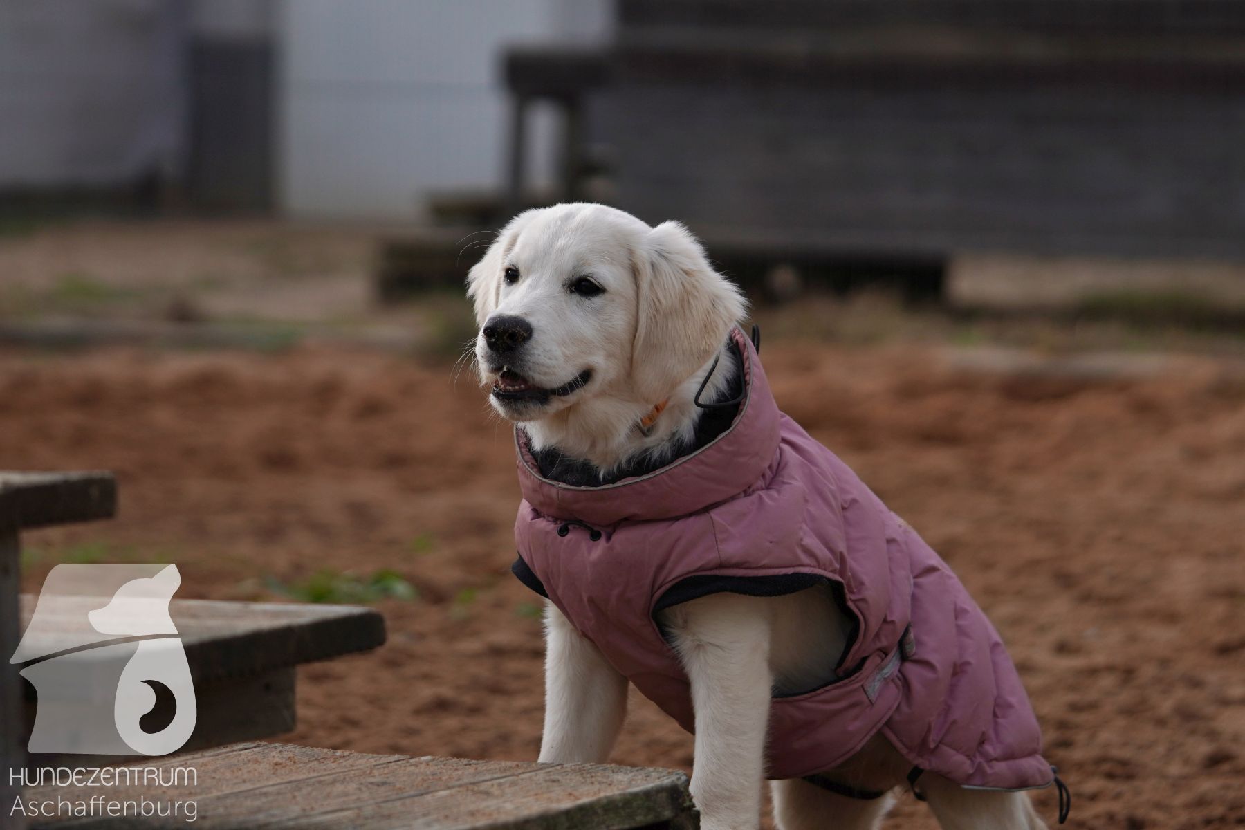 Hutamix-25-11-w03-020