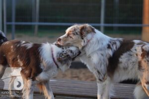 Hutamix-25-11-w03-021