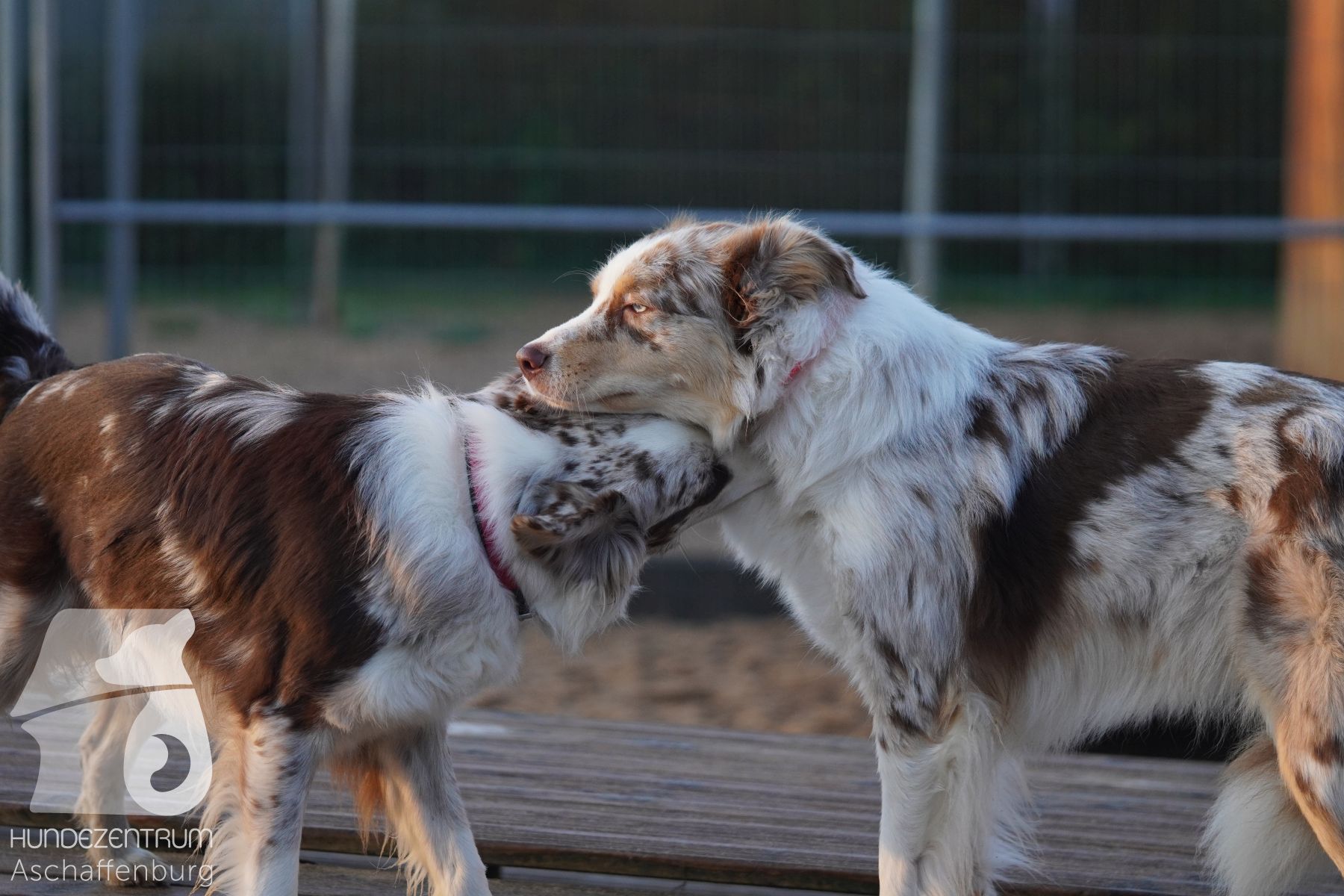 Hutamix-25-11-w03-021