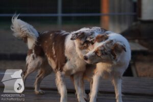 Hutamix-25-11-w03-022