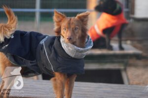 Hutamix-25-11-w03-023