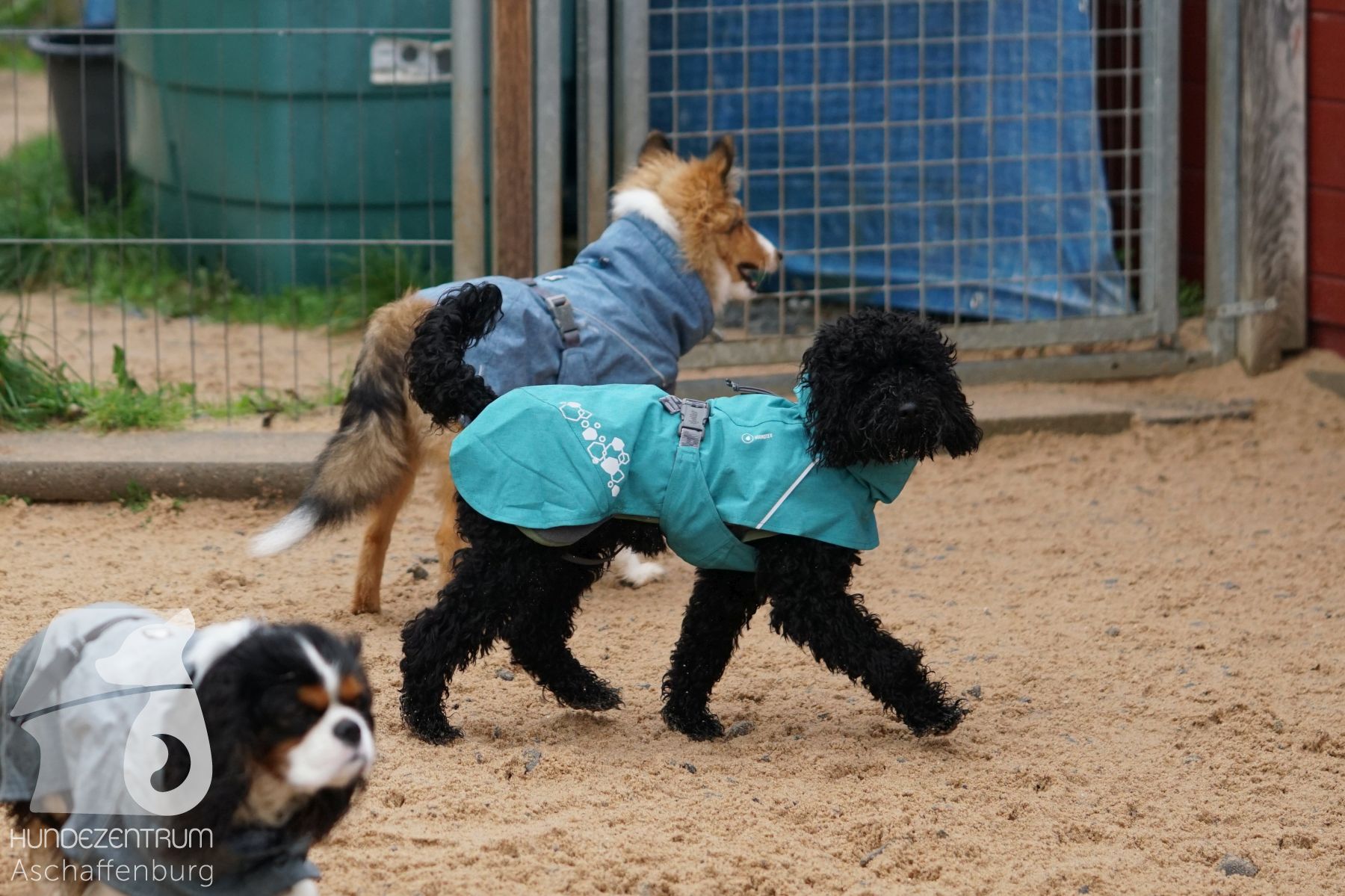 Hutamix-25-11-w03-024