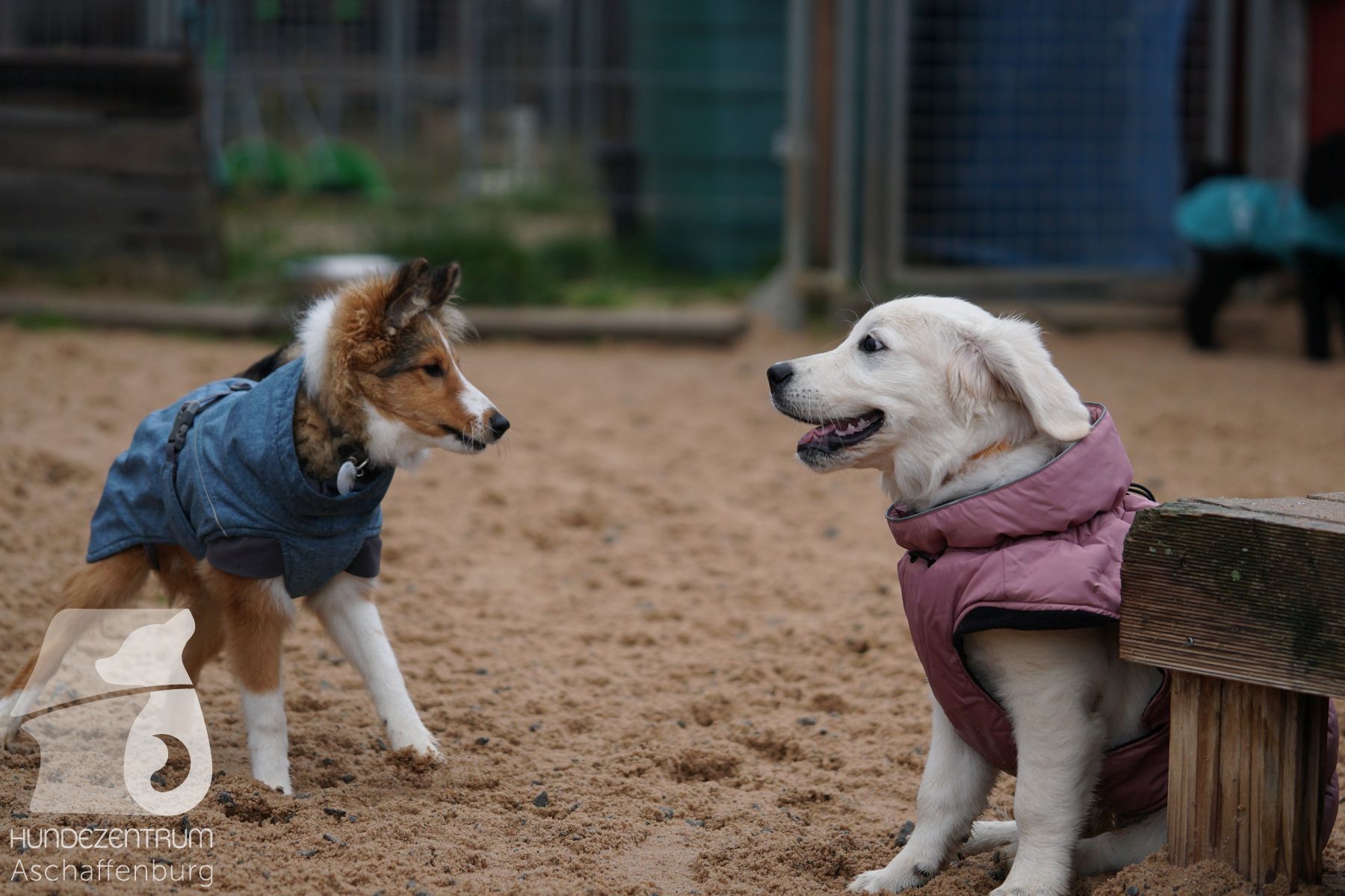 Hutamix-25-11-w03-025