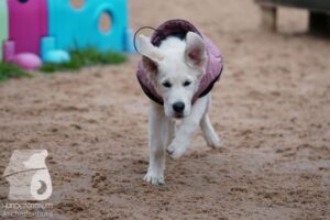 Hutamix-25-11-w03-026