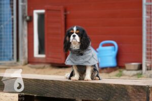 Hutamix-25-11-w03-027