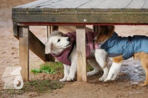 Hutamix-25-11-w03-028