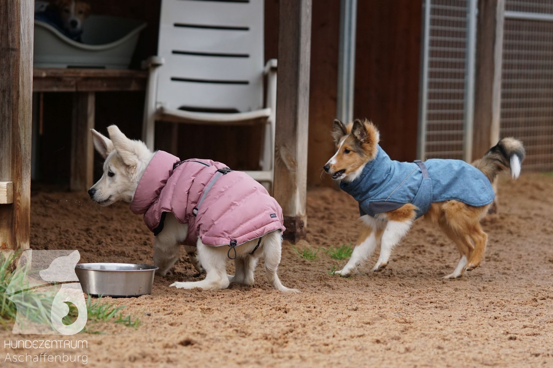 Hutamix-25-11-w03-029