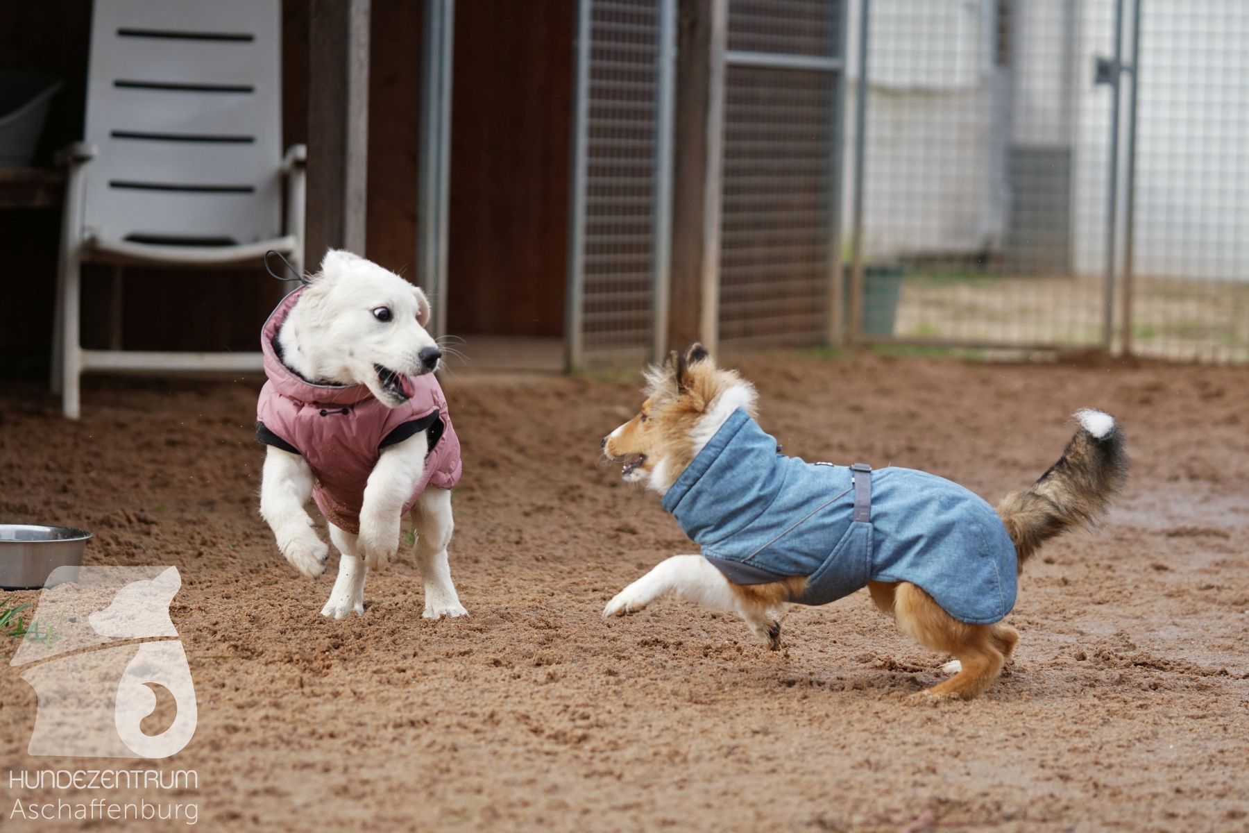 Hutamix-25-11-w03-030