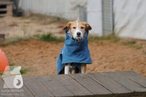 Hutamix-25-11-w03-031