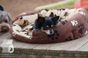 Hutamix-25-11-w03-032