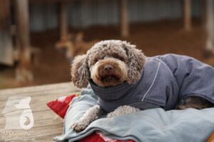 Hutamix-25-11-w03-033