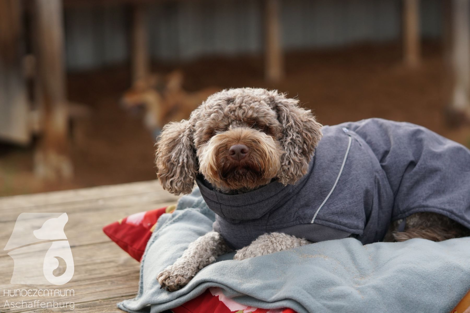 Hutamix-25-11-w03-033