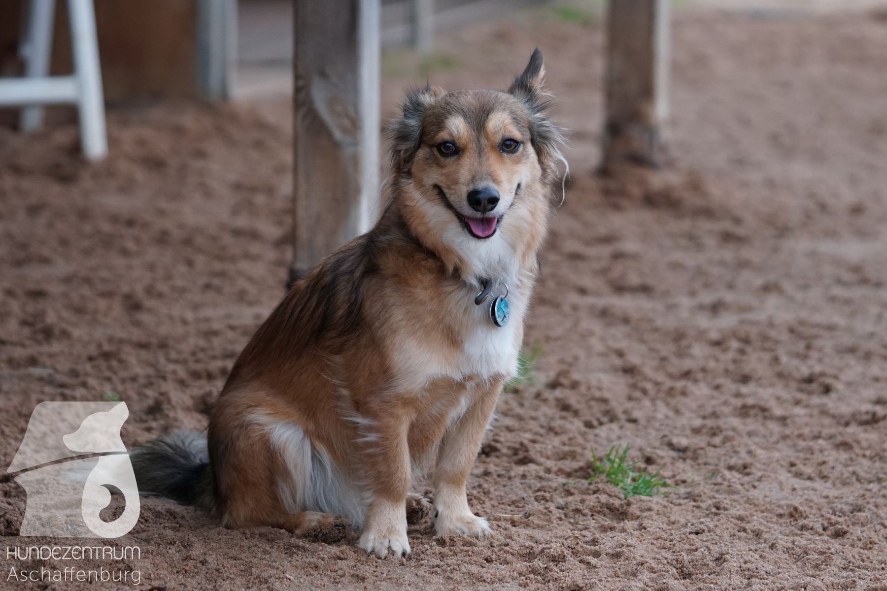 Hutamix-25-11-w03-034