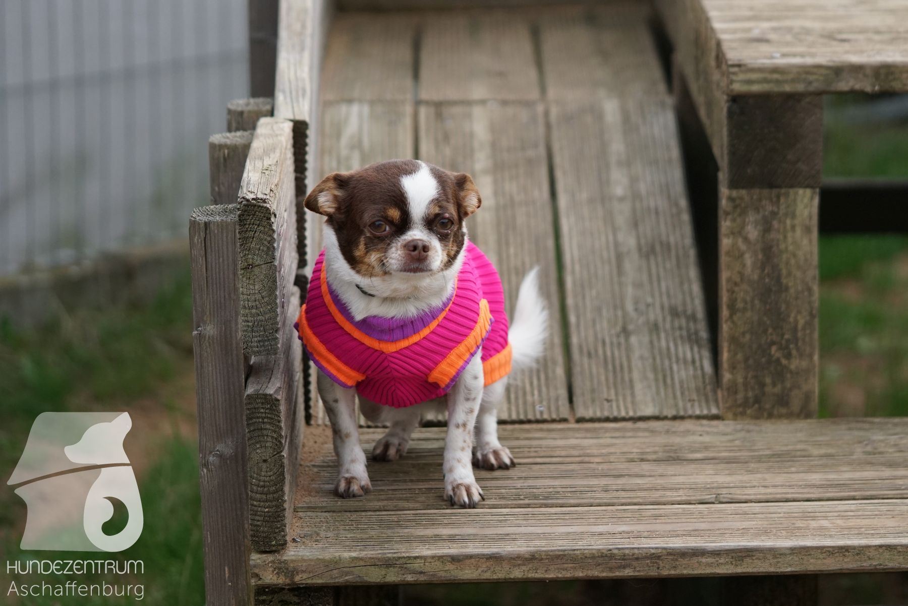 Hutamix-25-11-w03-035