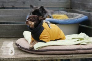 Hutamix-25-11-w03-036