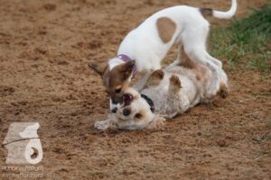 Hutamix-25-11-w03-037