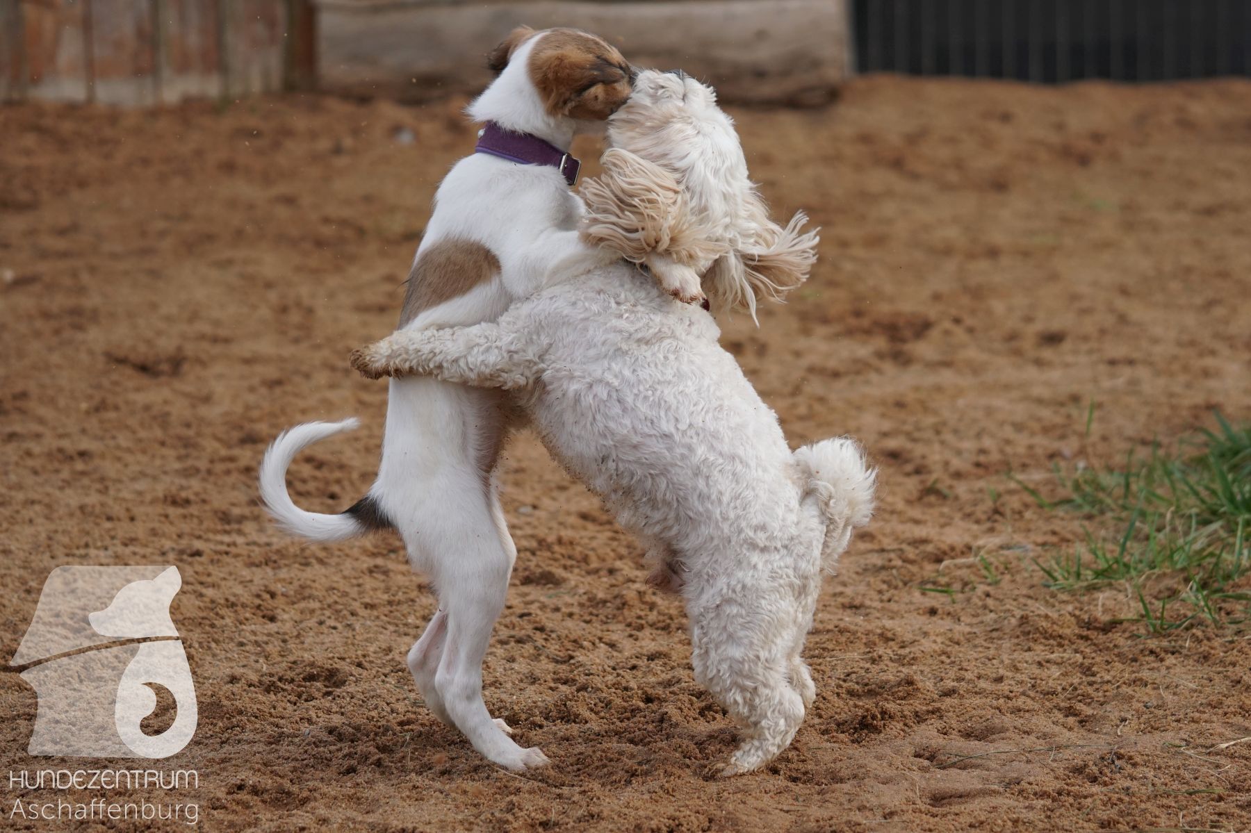 Hutamix-25-11-w03-038