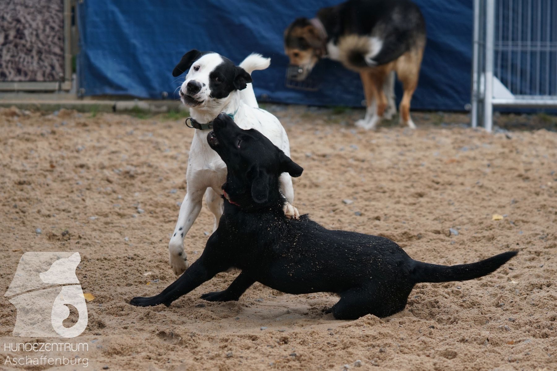 Hutamix-25-11-w03-040