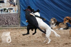 Hutamix-25-11-w03-041