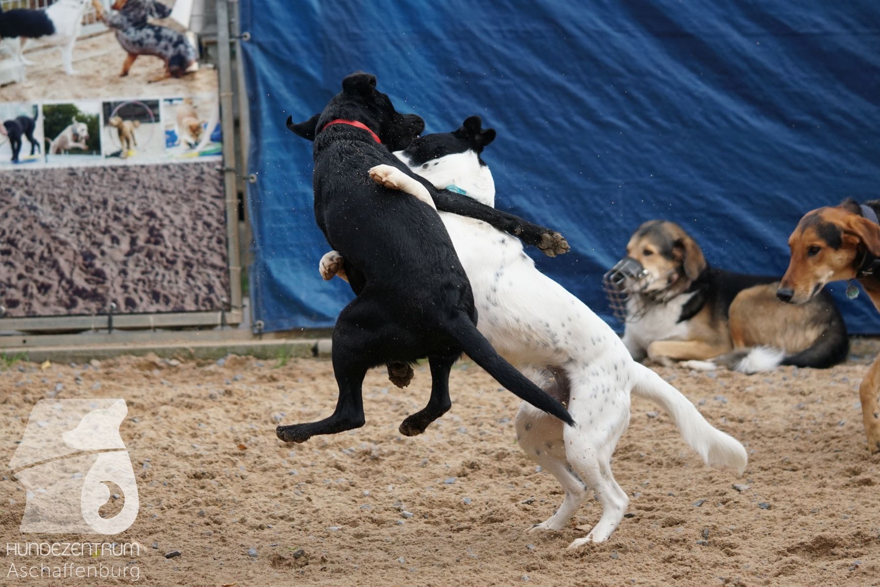 Hutamix-25-11-w03-041