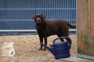 Hutamix-25-11-w03-042