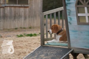 Hutamix-25-11-w03-043