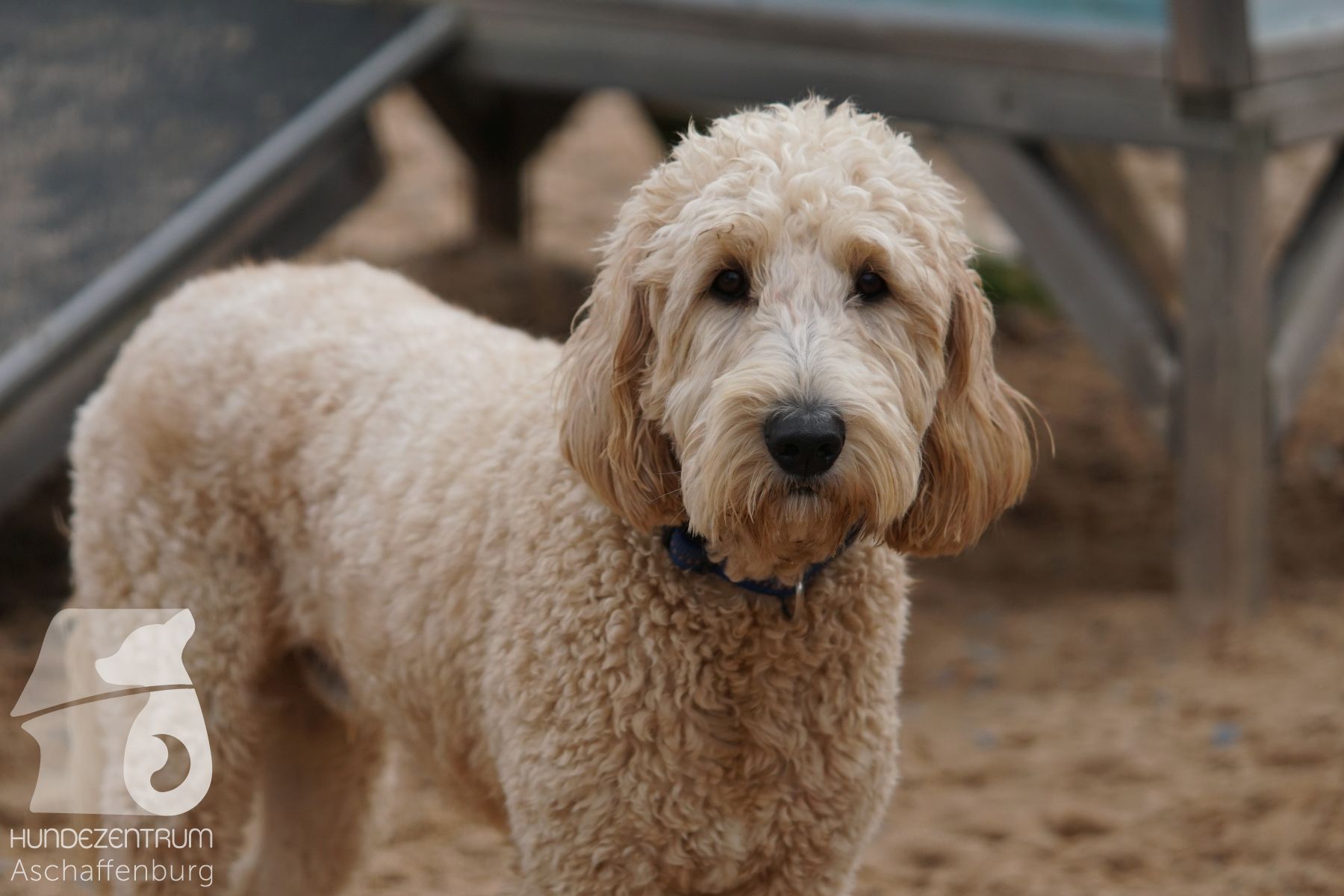 Hutamix-25-11-w03-044