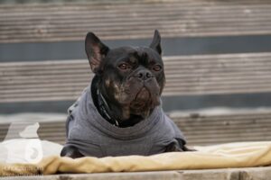 Hutamix-25-11-w03-045