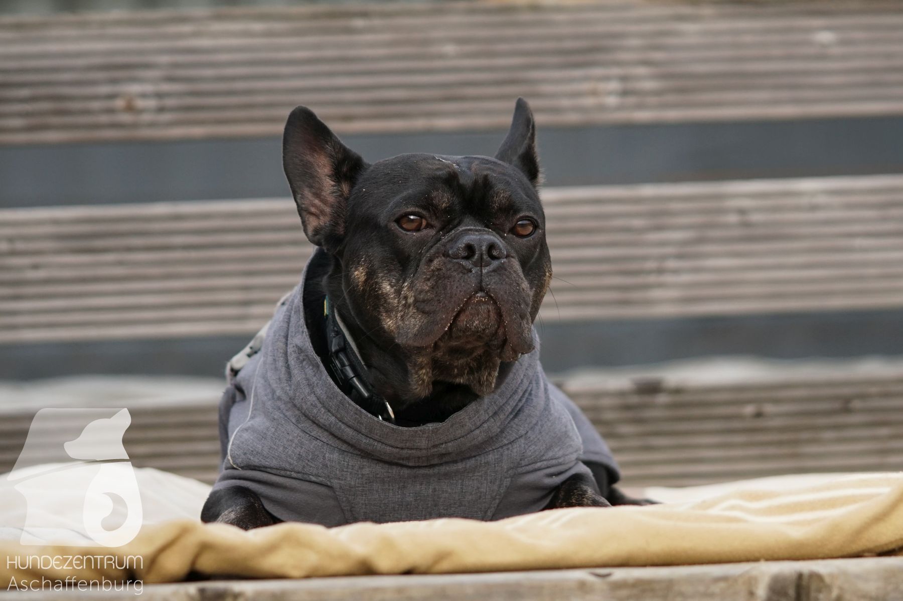 Hutamix-25-11-w03-045