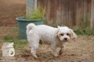 Hutamix-25-11-w03-046