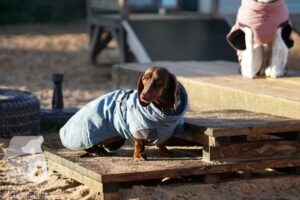 Hutamix-25-11-w03-047