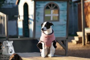 Hutamix-25-11-w03-048