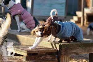 Hutamix-25-11-w03-049