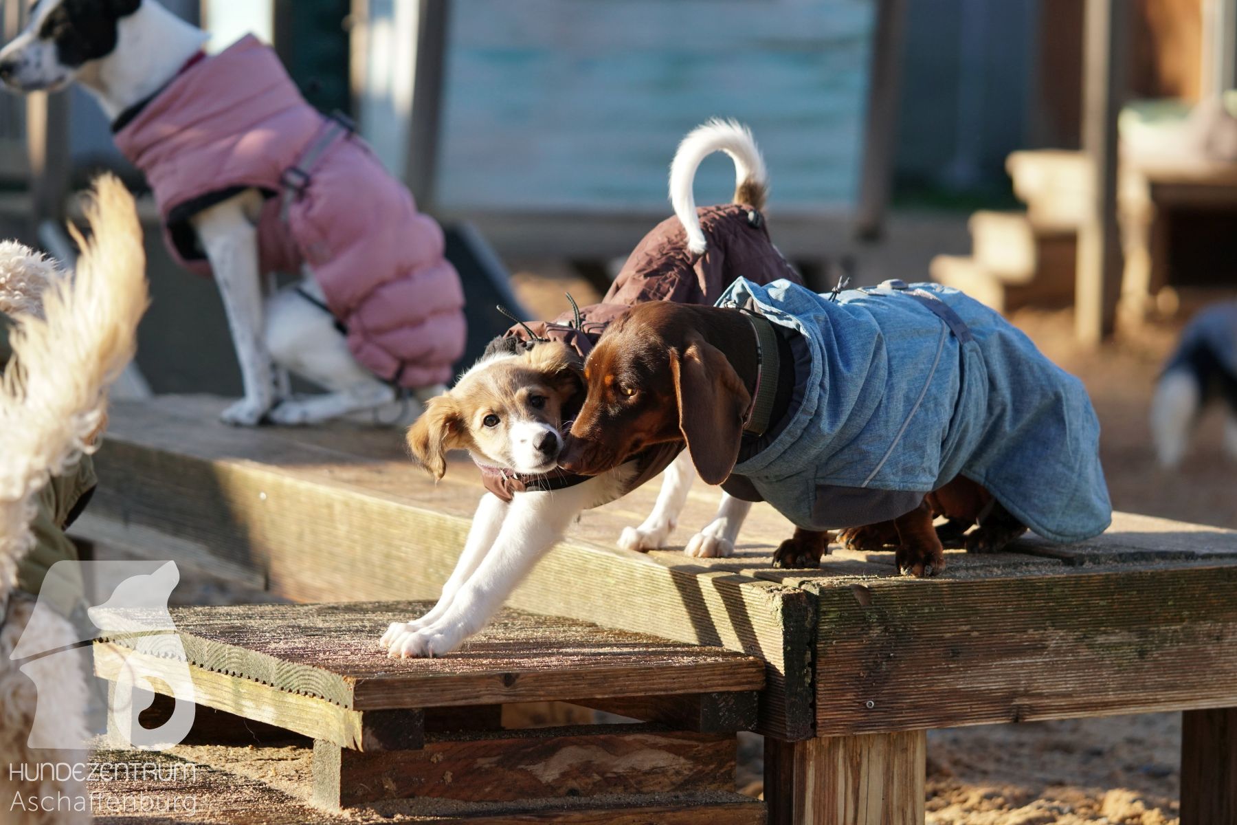 Hutamix-25-11-w03-049