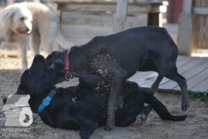 Hutamix-25-11-w03-050