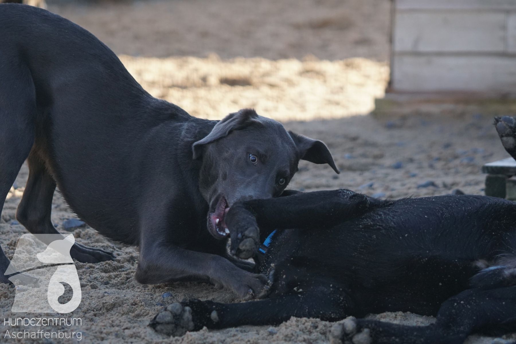 Hutamix-25-11-w03-051