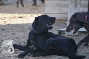 Hutamix-25-11-w03-052