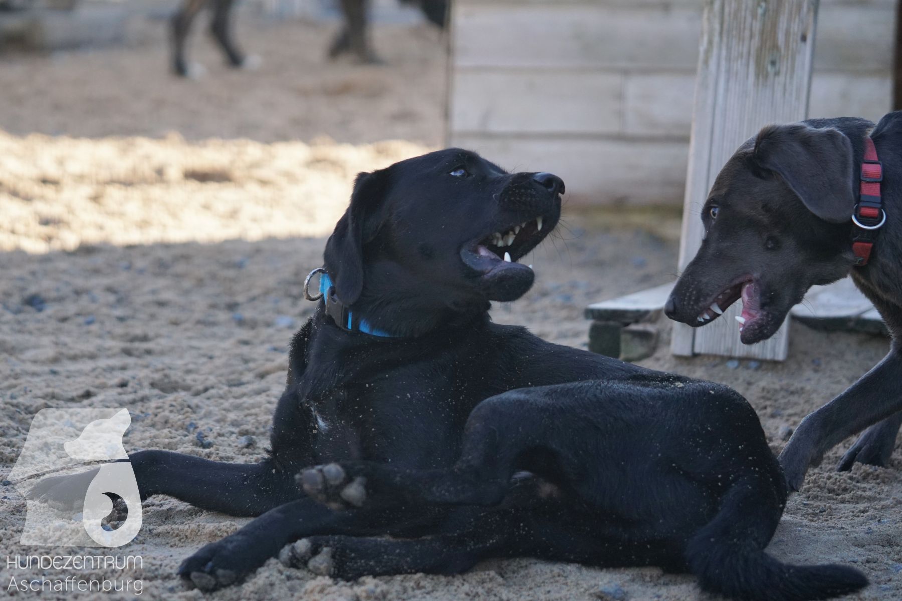 Hutamix-25-11-w03-052