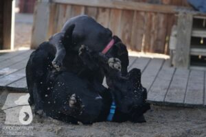 Hutamix-25-11-w03-053