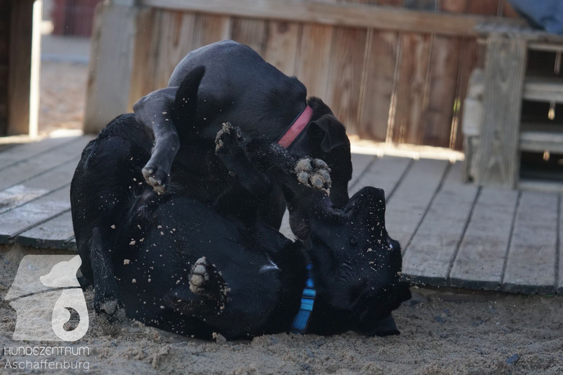 Hutamix-25-11-w03-053