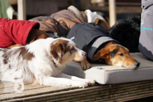 Hutamix-25-11-w03-054