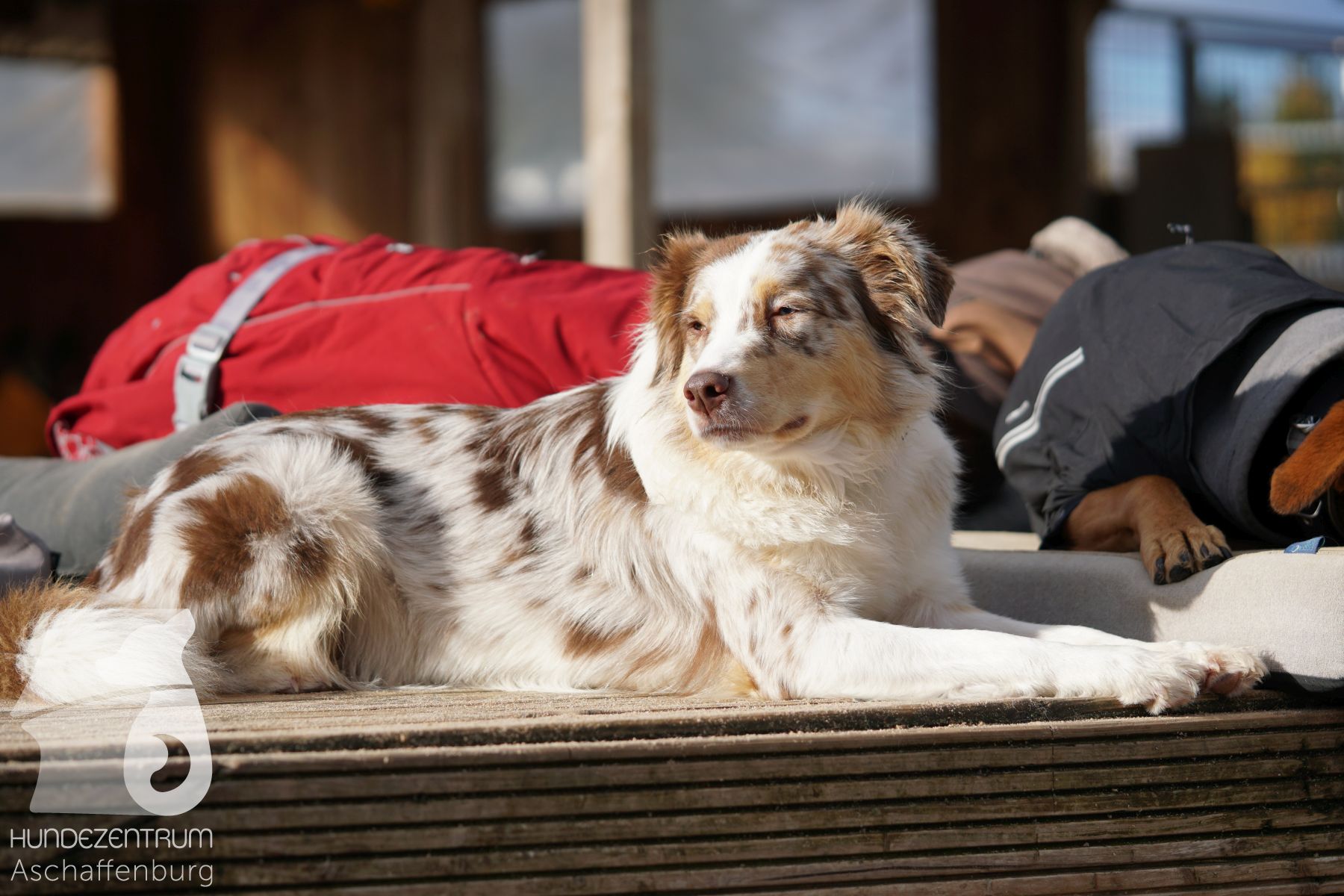 Hutamix-25-11-w03-055