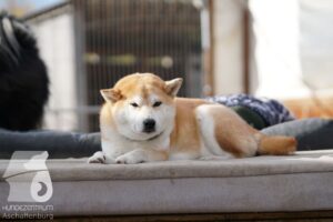 Hutamix-25-11-w03-056