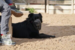 Hutamix-25-11-w03-057