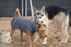 Hutamix-25-11-w03-058