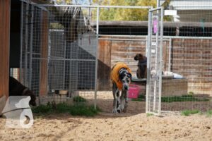 Hutamix-25-11-w03-060