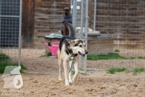 Hutamix-25-11-w03-061