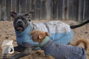 Hutamix-25-11-w03-062