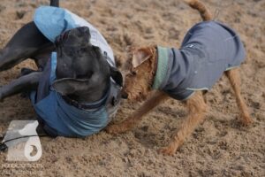 Hutamix-25-11-w03-063