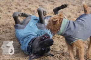 Hutamix-25-11-w03-064